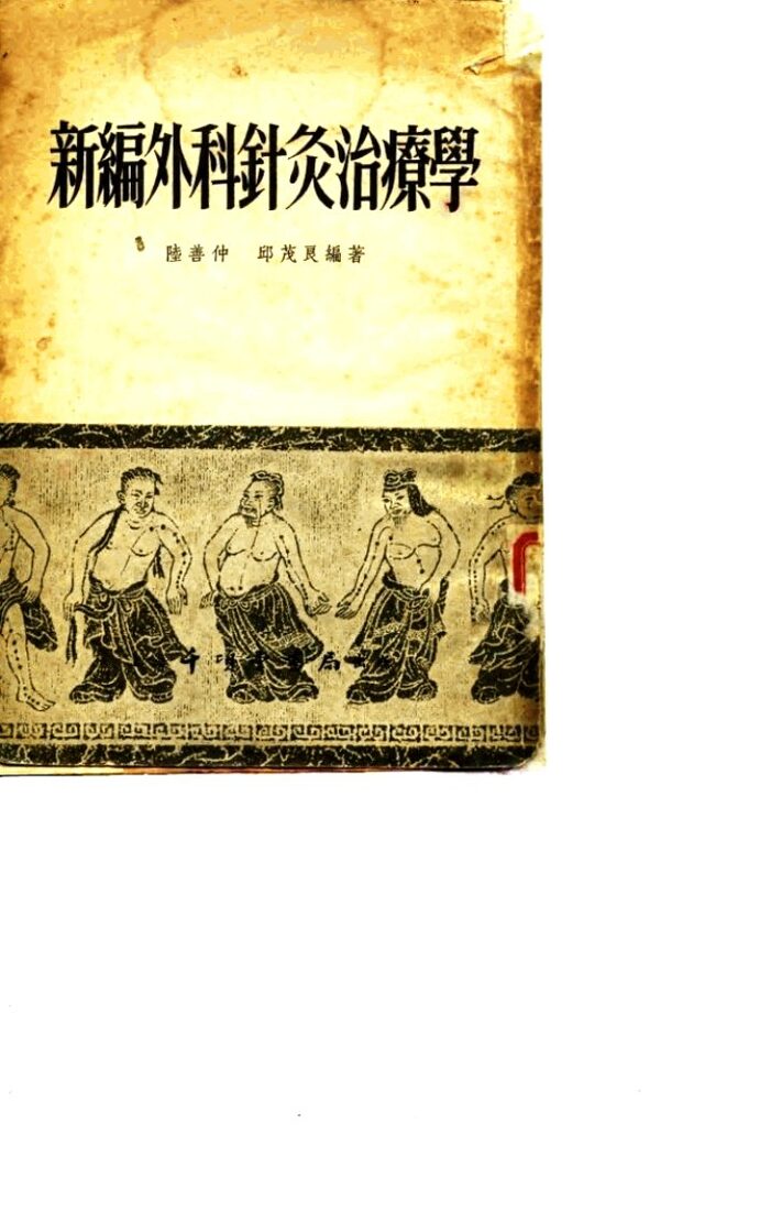 新编外科针灸治疗学 封面