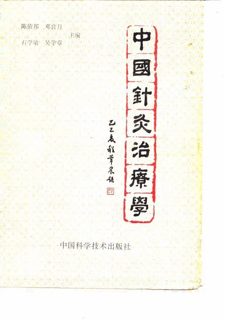 中国针灸治疗学 封面