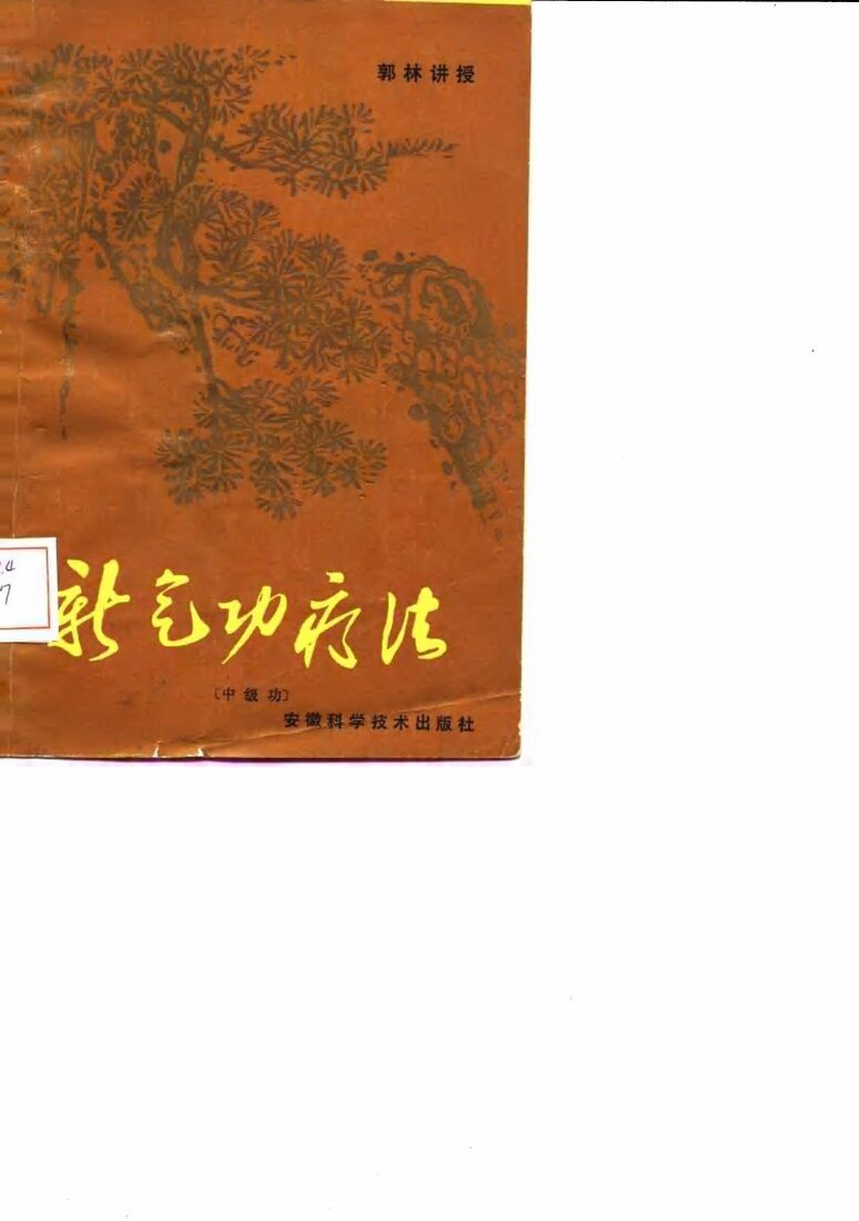新气功疗法图解（中级功） 封面