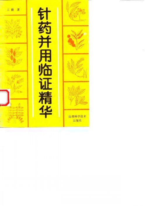 针药并用临证精华 封面