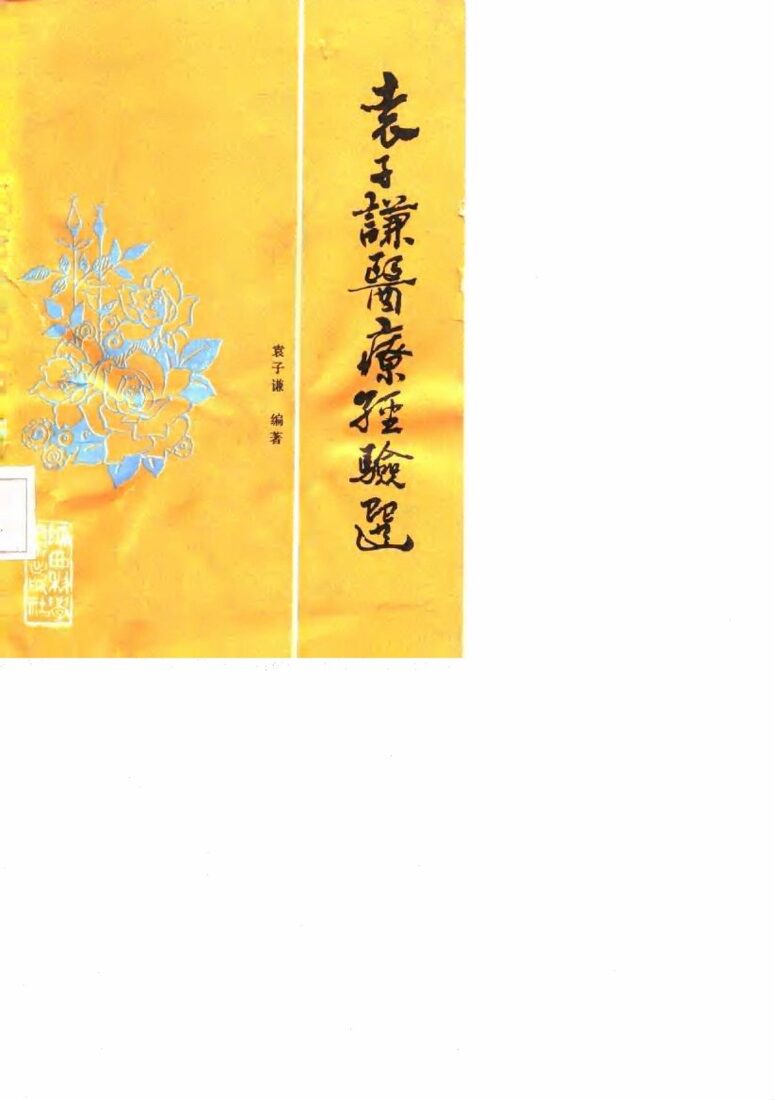 袁子谦医疗经验选 封面