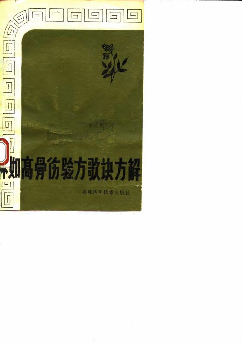 林如高骨伤验方歌诀方解 封面
