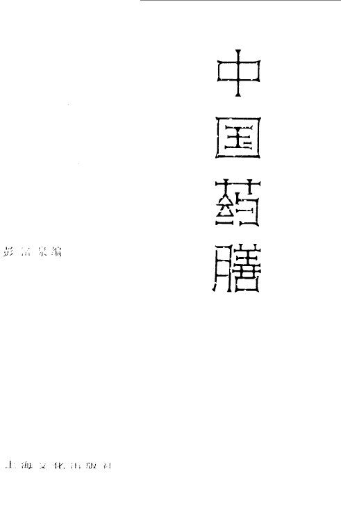 中国药膳 封面