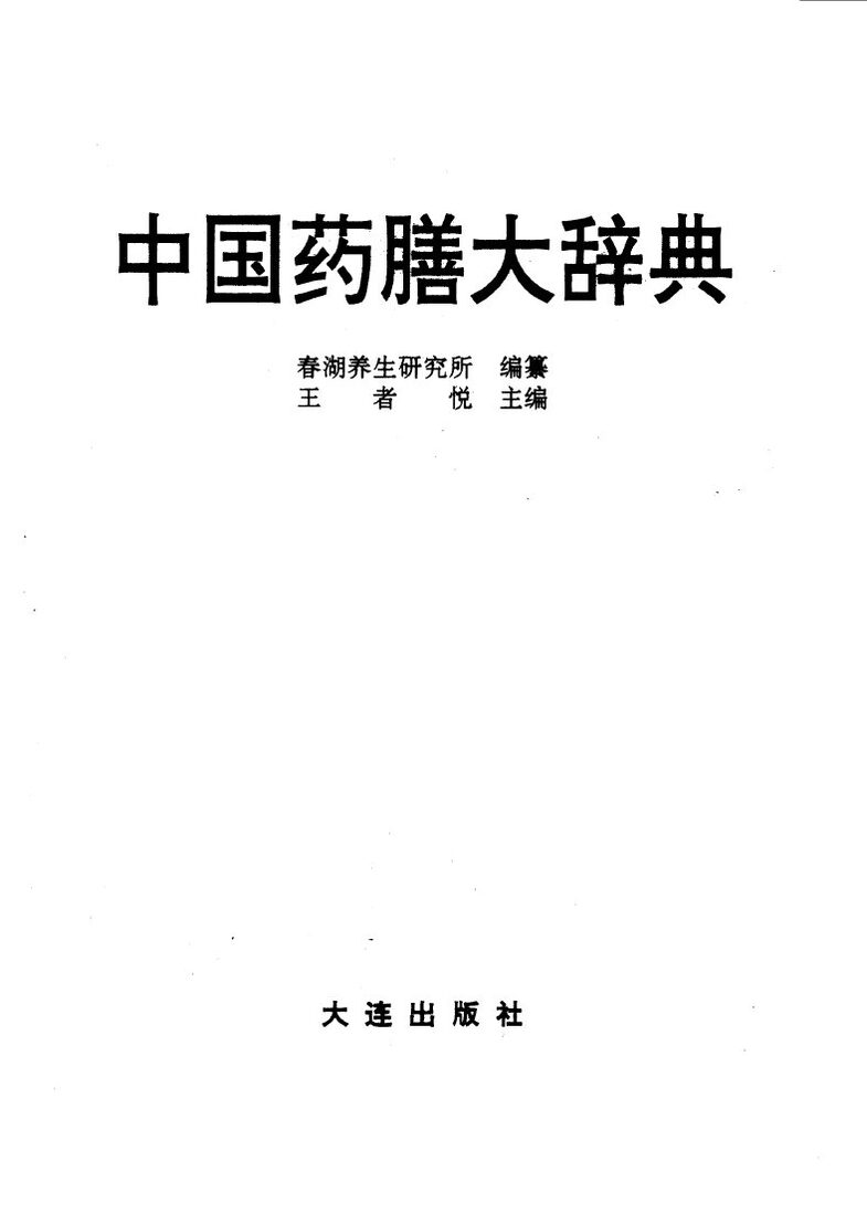 中国药膳大辞典 封面