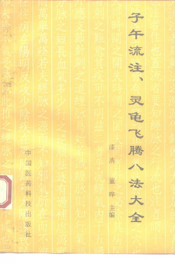 子午流注、灵龟飞腾八法大全  传统医学的灵魂、神奇疗效的核心 封面
