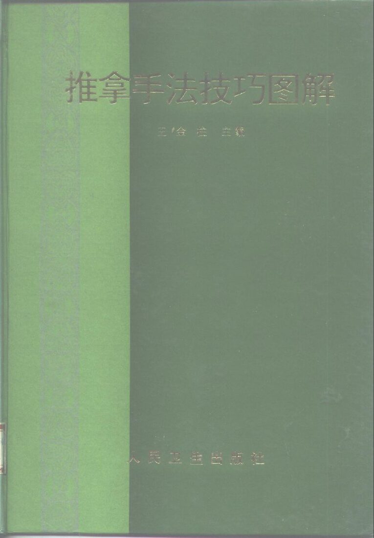 推拿手法技巧图解 封面