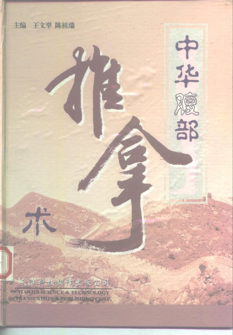 中华腹部推拿术 封面