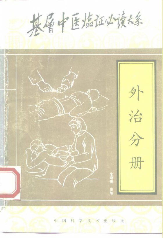 基层中医临证必读大系  外治分册 封面