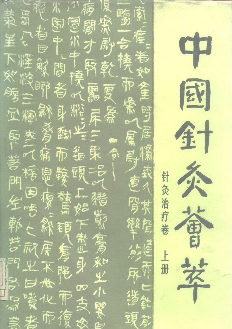 中国针灸荟萃  针灸治疗卷  上 封面