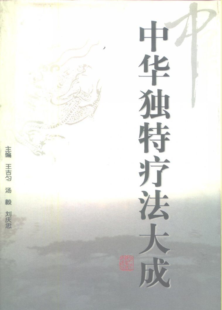 中华独特疗法大成 封面