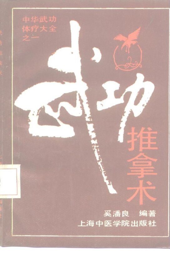 武功推拿术 封面