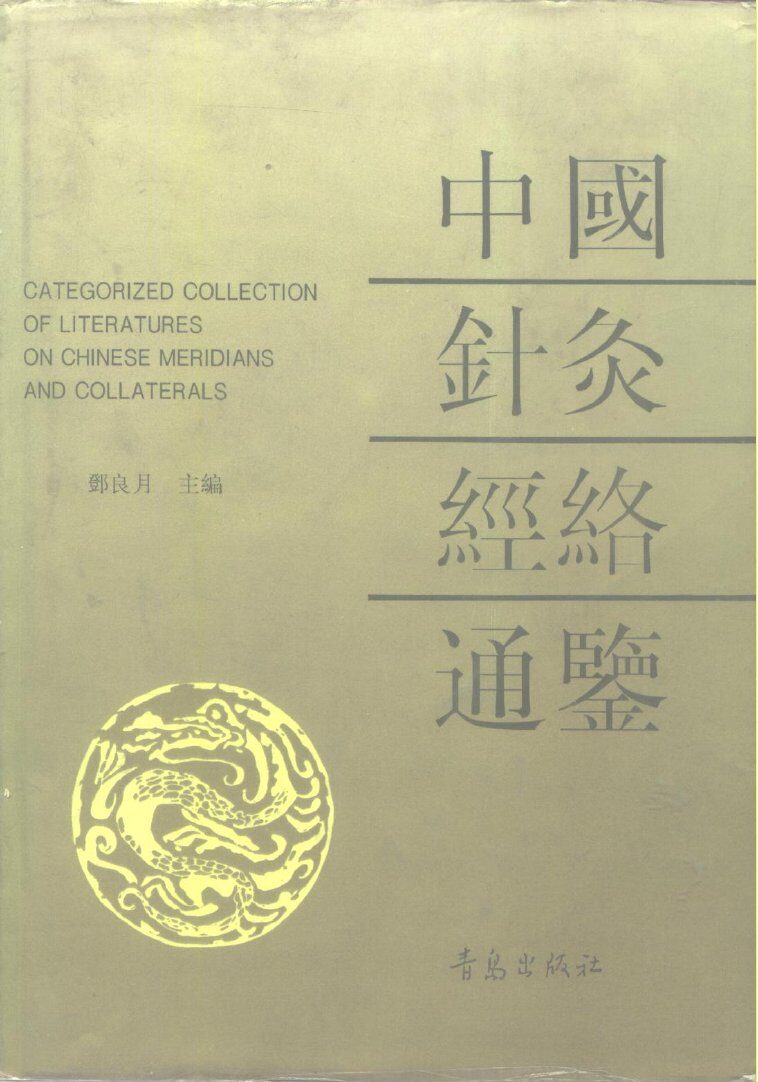 中国针灸经络通鉴 封面
