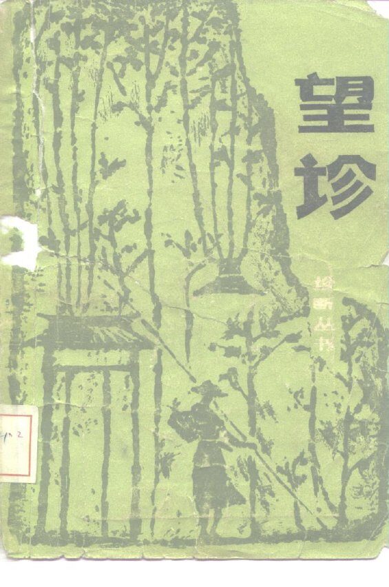 望诊 封面