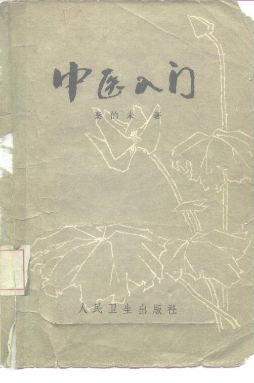 中医入门 封面