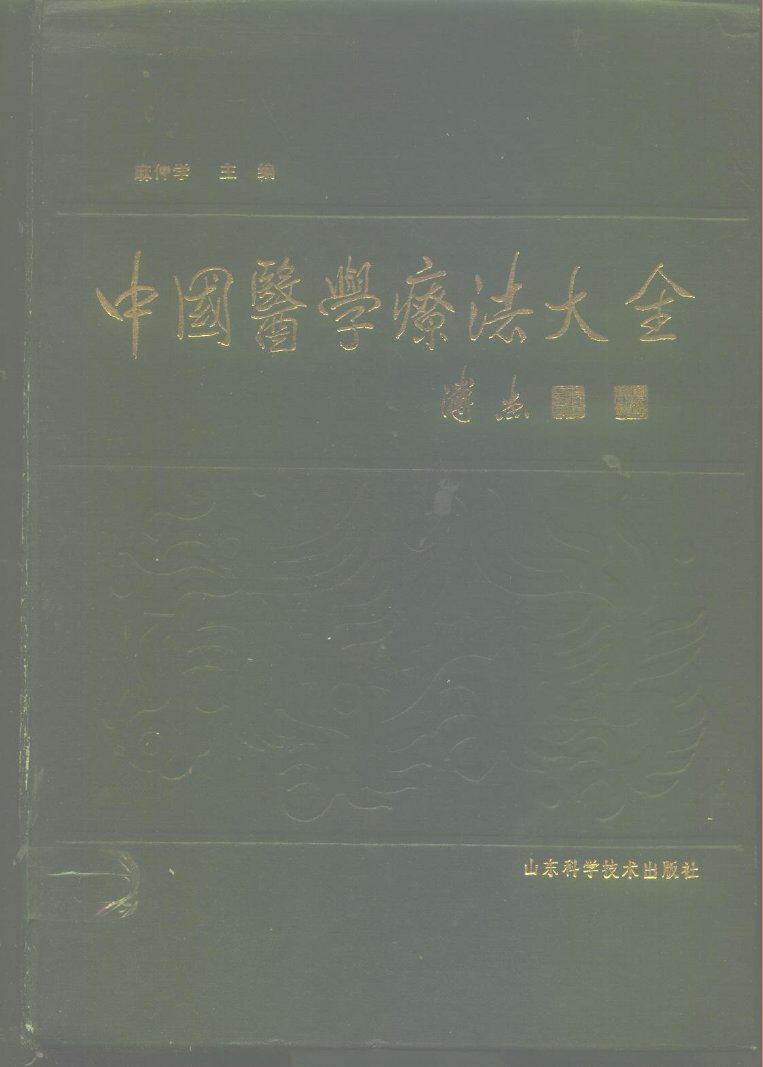 中国医学疗法大全 封面