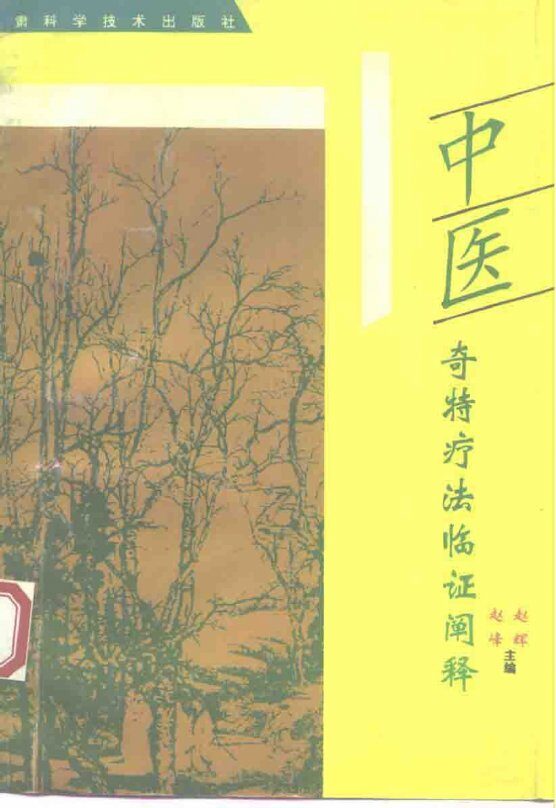 中医奇特疗法临证阐释 封面