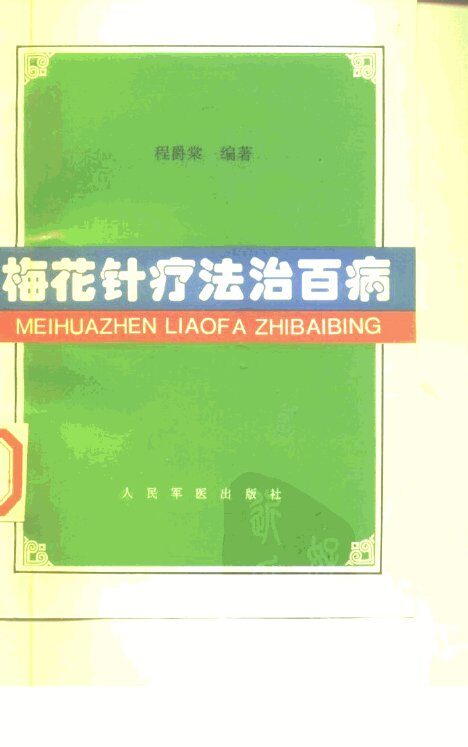 梅花针疗法治百病 封面