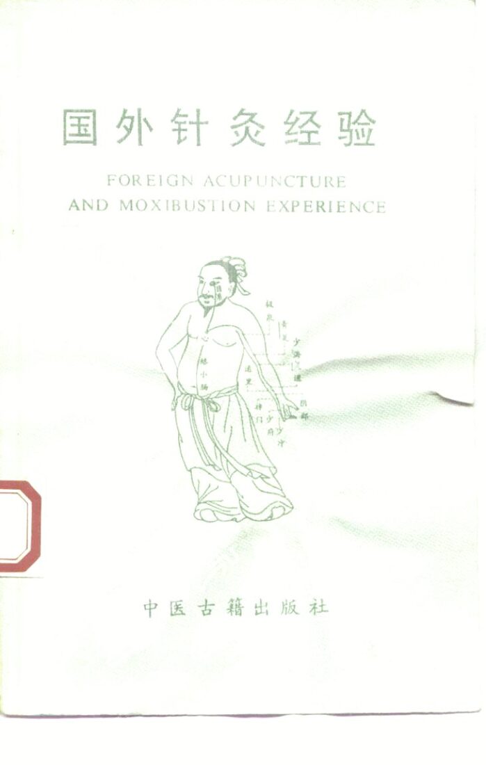国外针灸经验 封面