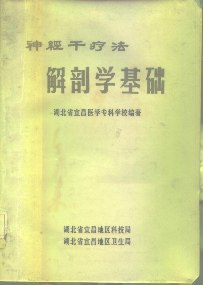 神经干疗法解剖学基础 封面