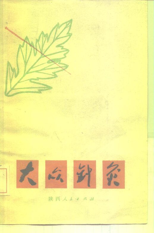 大众针灸 封面