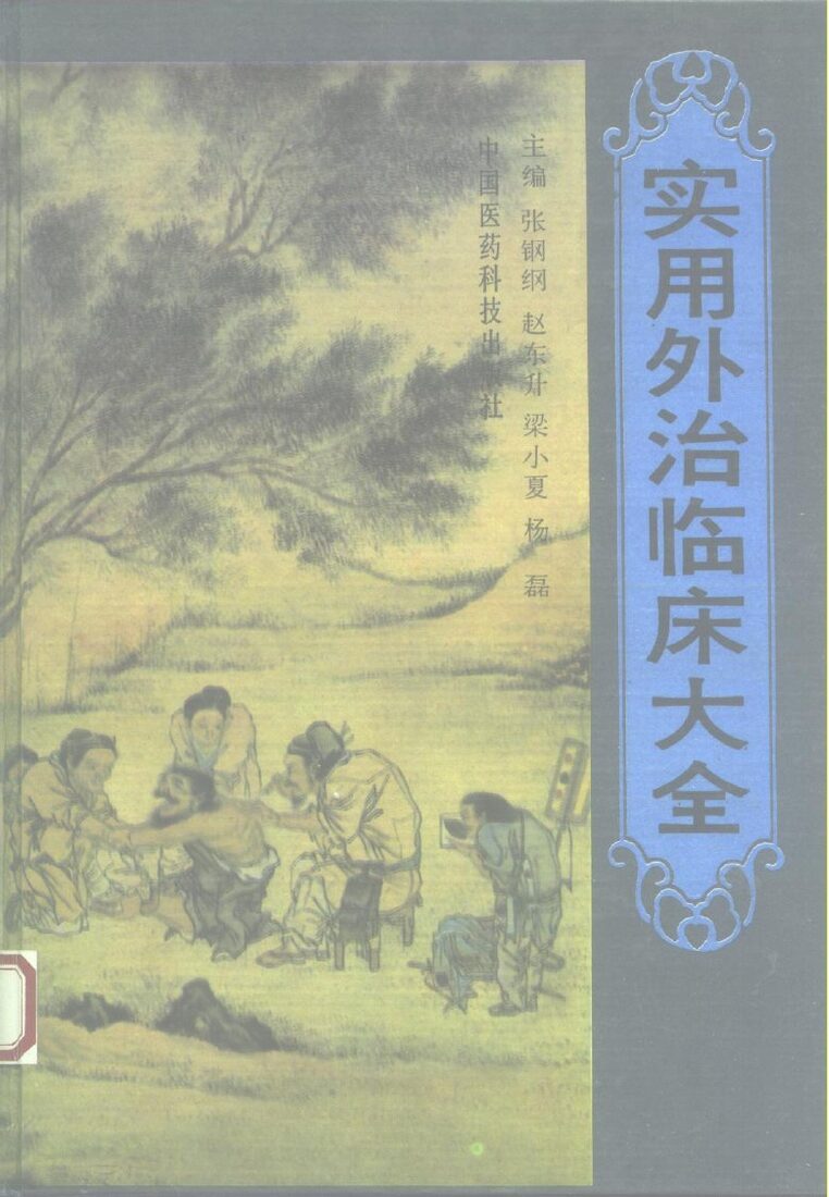 实用外治临床大全 封面