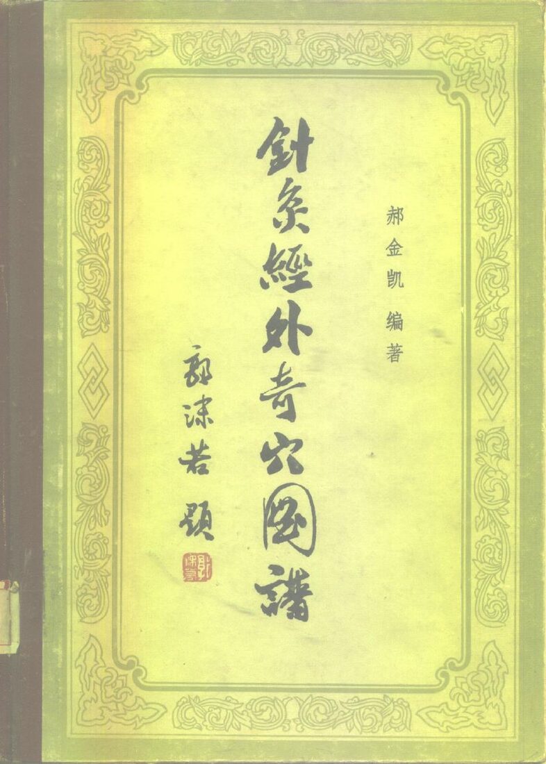 针灸经外奇穴图谱 封面