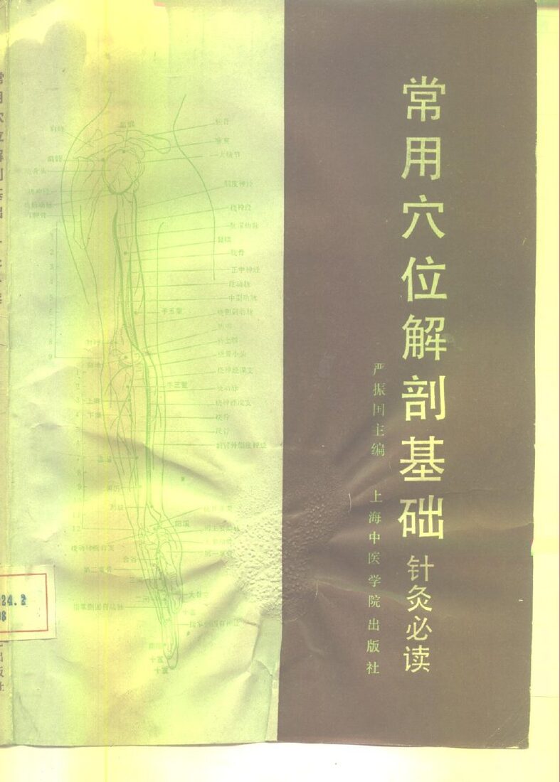 常用穴位解剖基础  针灸必读 封面
