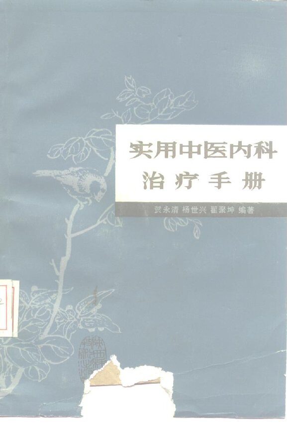 实用中医内科治疗手册 封面