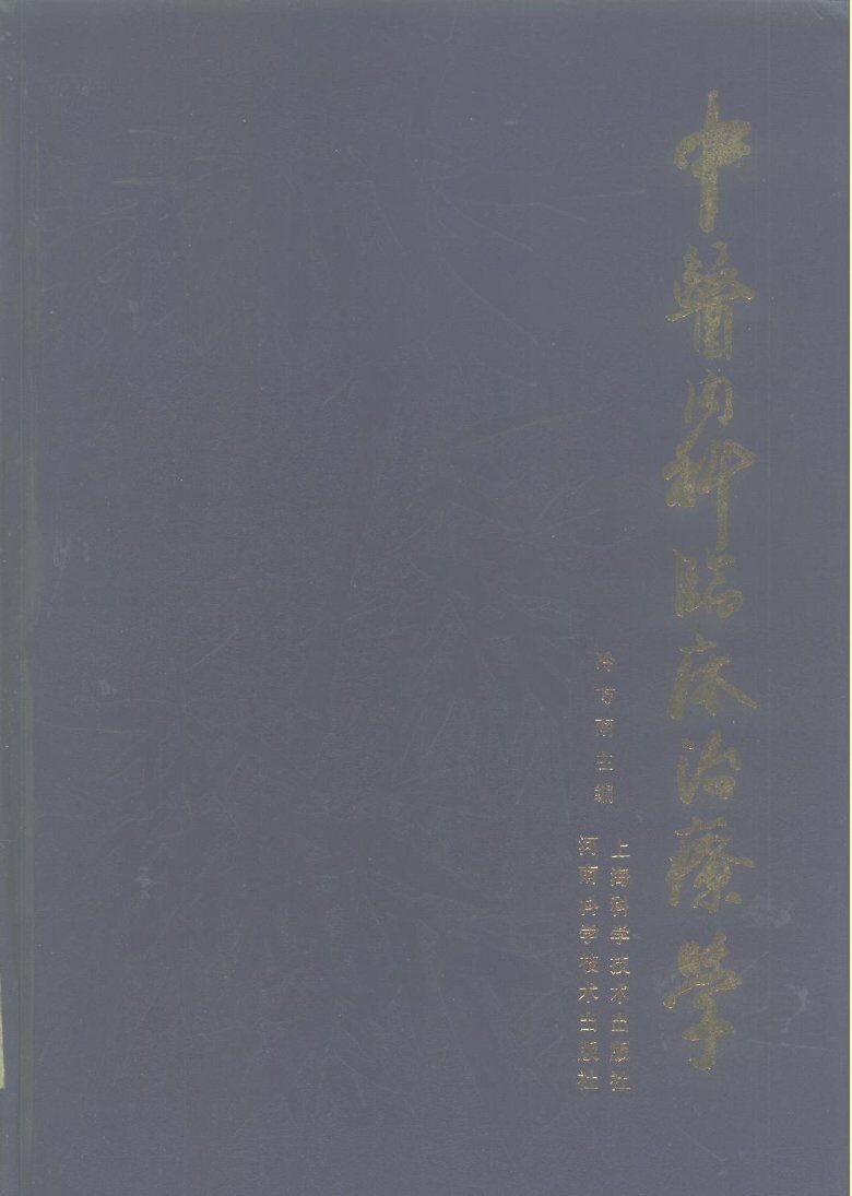 中医内科临床治疗学 封面