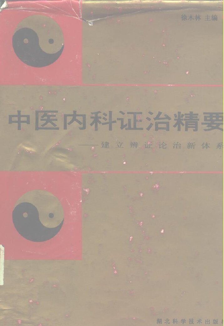中医内科证治精要  建立辩证论治新体系 封面