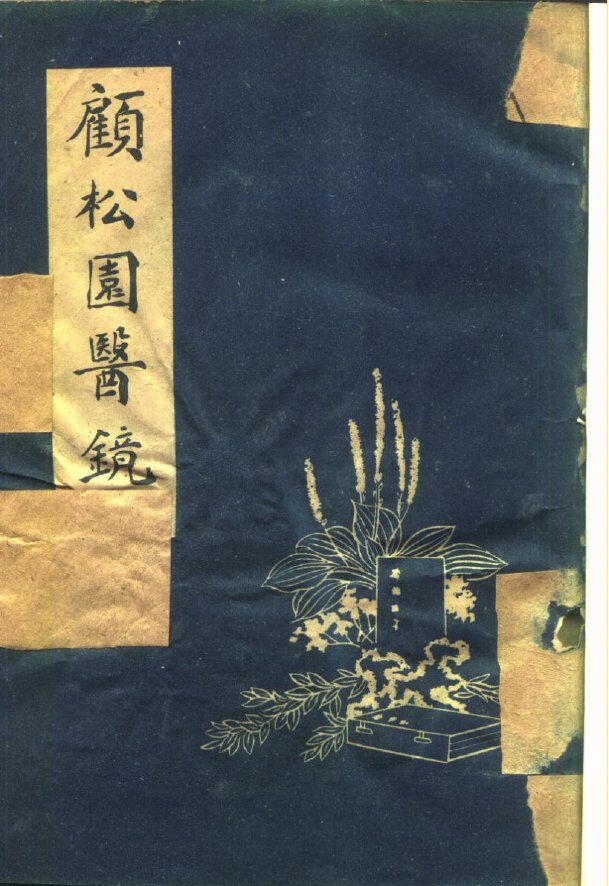 顾松园医镜  上 封面