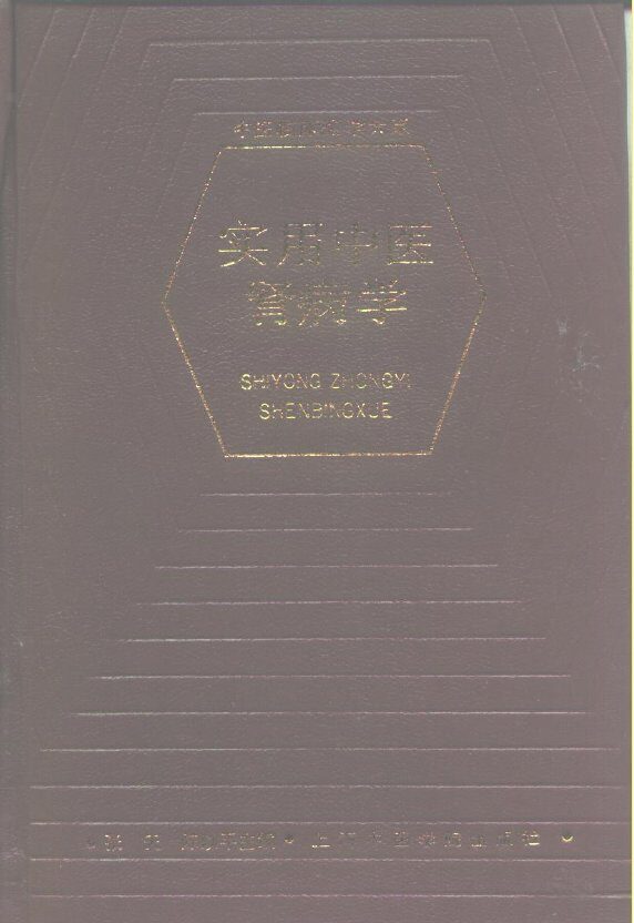 实用中医肾病学 封面