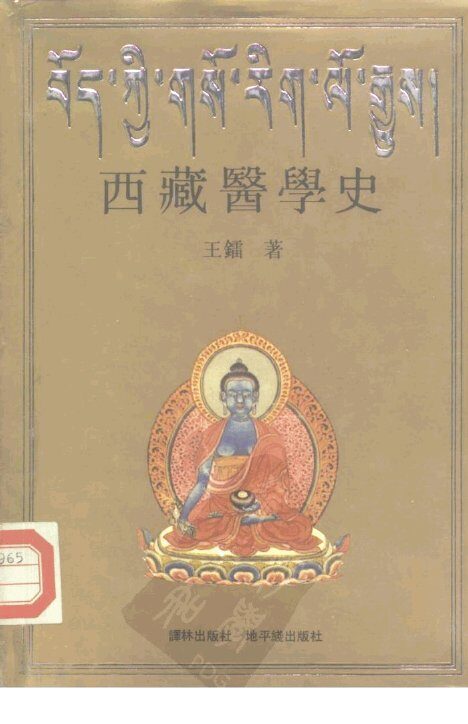 西藏医学史 封面