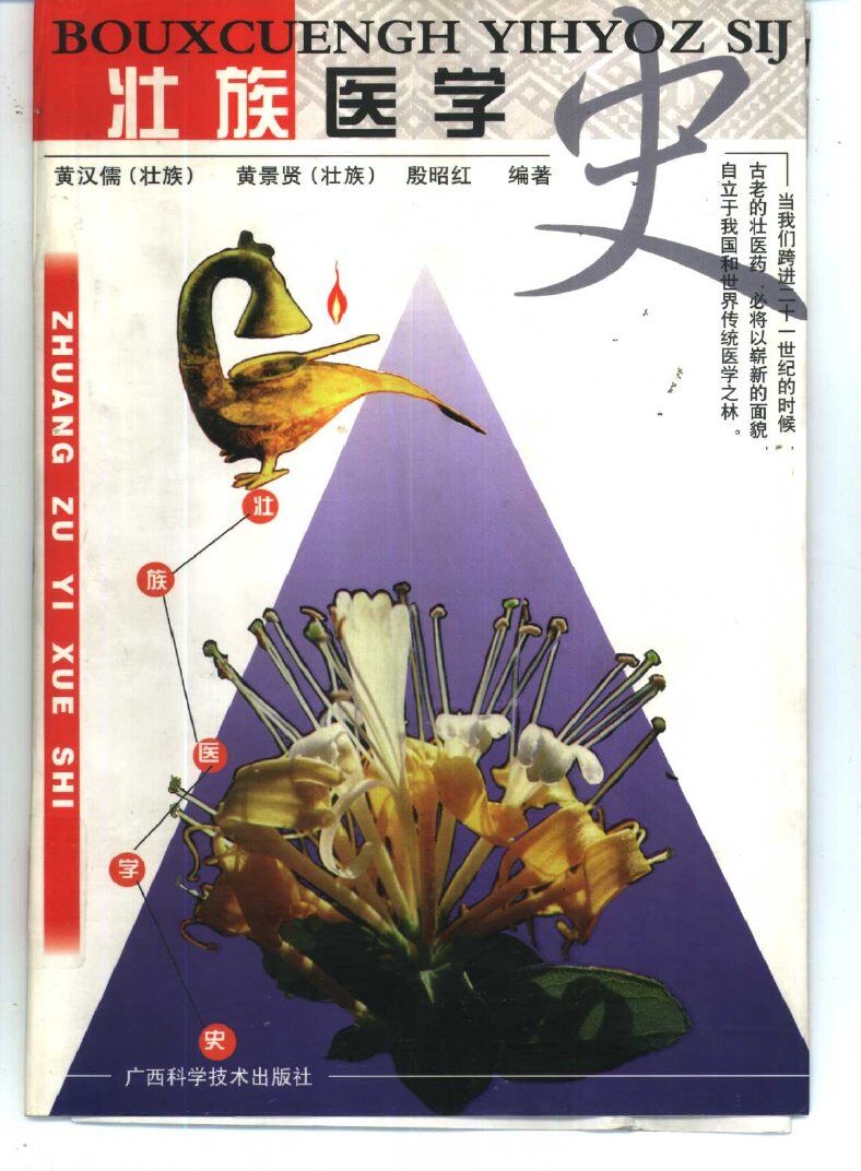 壮族医学史 封面
