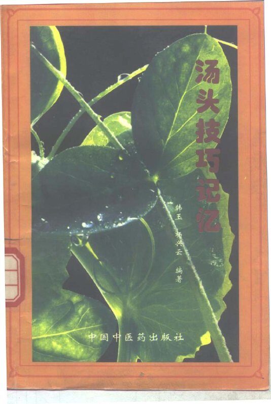 汤头技巧记忆 封面