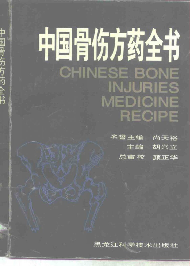 中国骨伤方药全书 封面