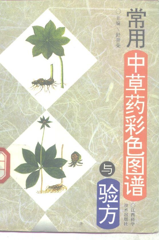 常用中草药彩色图谱与验方 封面