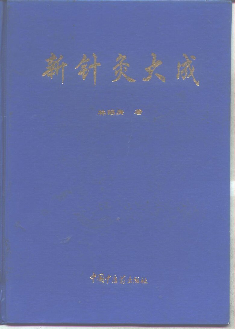 新针灸大成 封面
