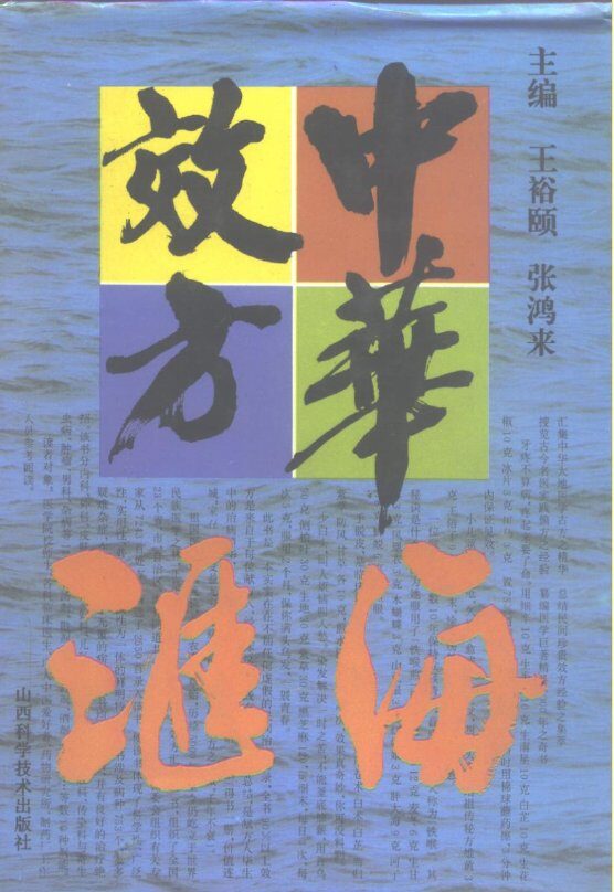 中华效方汇海 封面