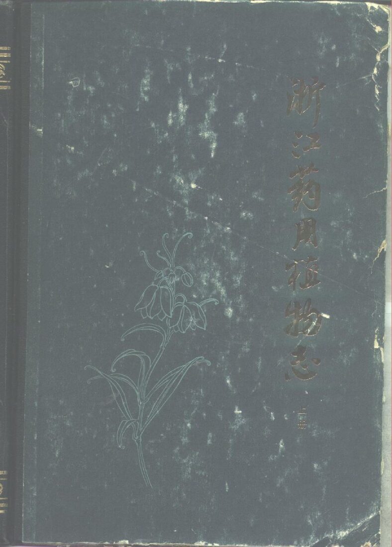 浙江药用植物志  上 封面