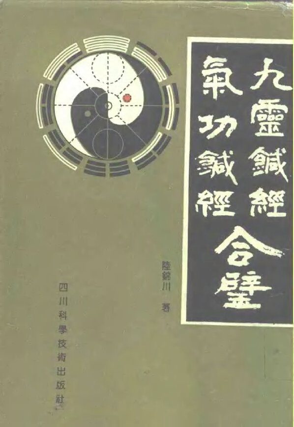九灵针经  气功针经合璧 封面