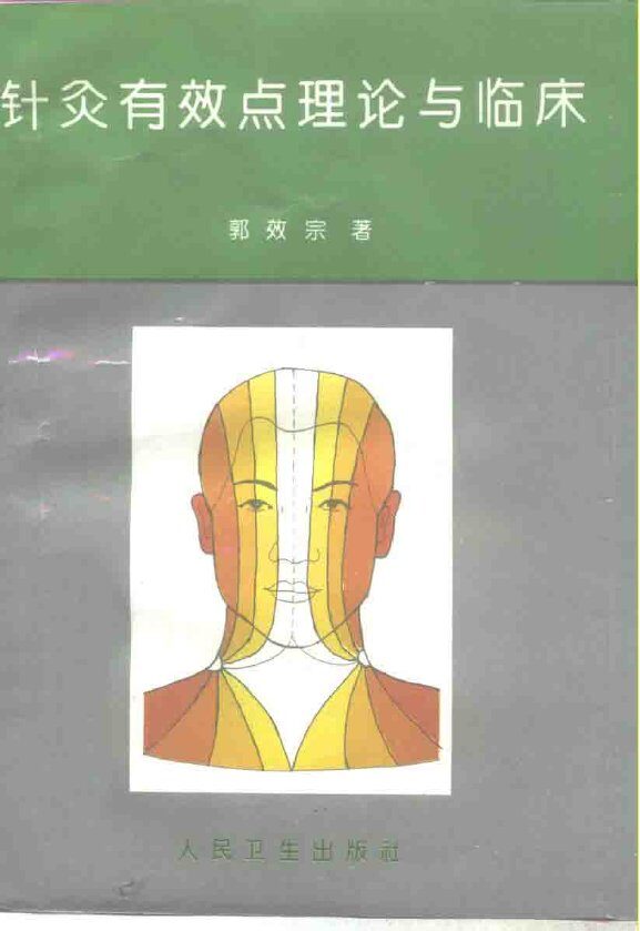 针灸有效点理论与临床 封面
