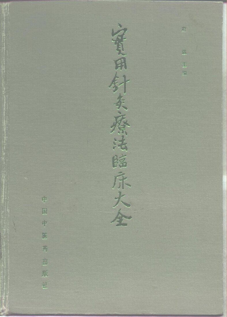 实用针灸疗法临床大全 封面