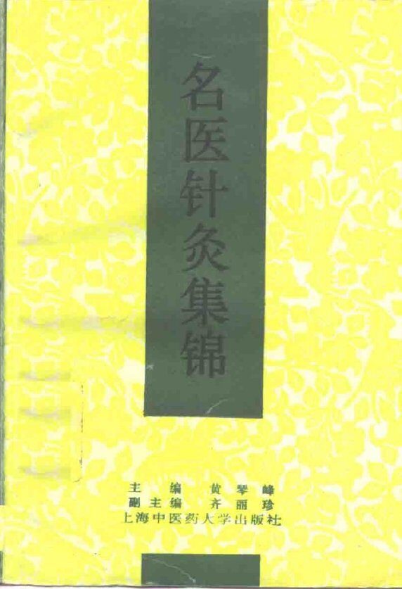 名医针灸集锦 封面