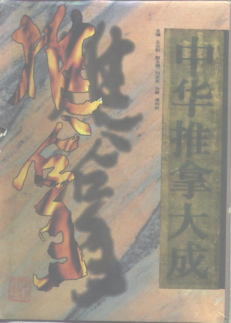 中华推拿大成 封面