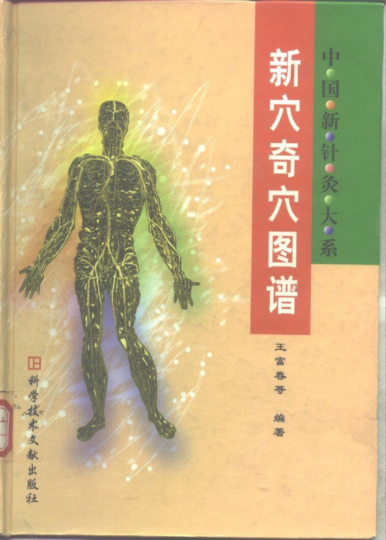 新穴奇穴图谱 封面