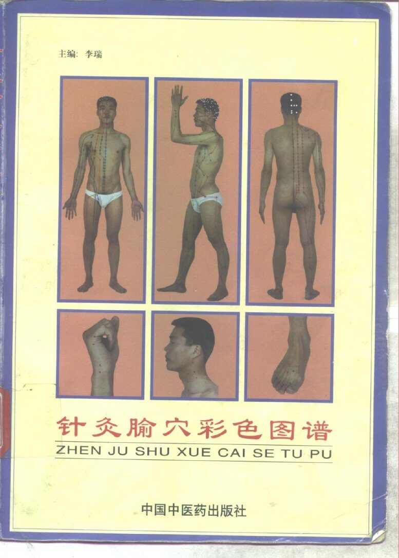 针灸腧穴彩色图谱 封面