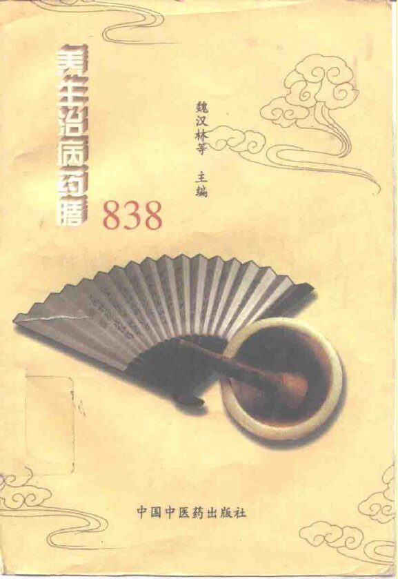 养生治病药膳838 封面