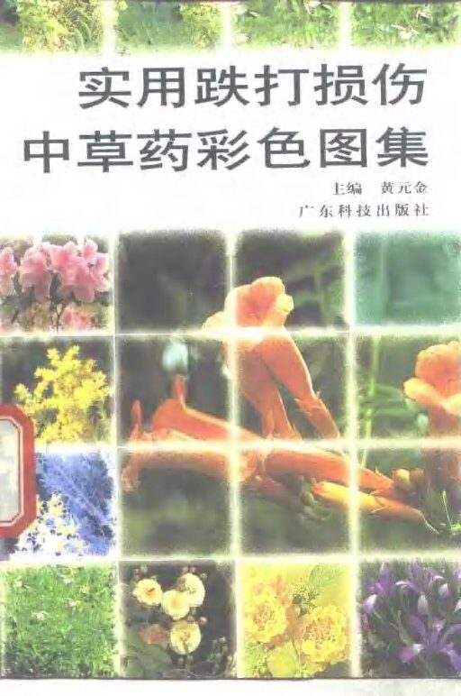 实用跌打损伤中草药彩色图集 封面