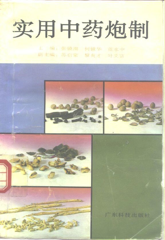 实用中药炮制 封面
